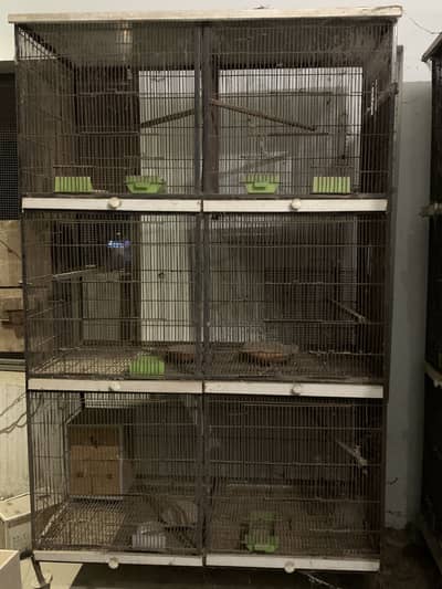 Birds Cage