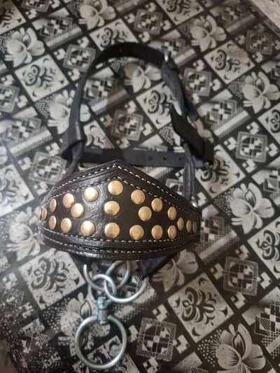 Hand made pure cow Leather product for Dogs horse cows and buffalo al