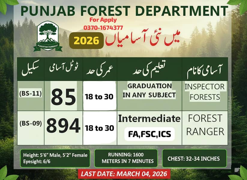 محکمہ جنگلات میں مستقل سرکاری نوکریاں 1
