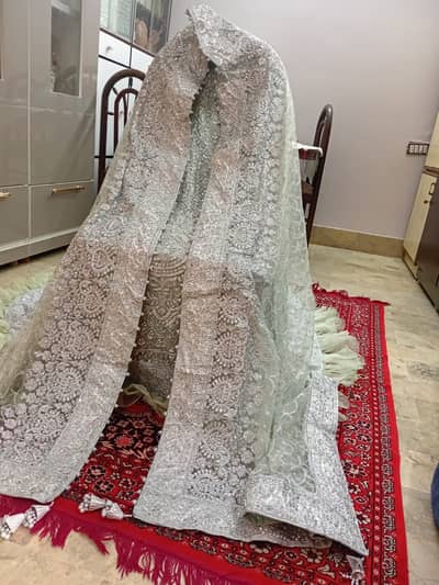 Elegeant and Beutiful Baraat/Valima Dress