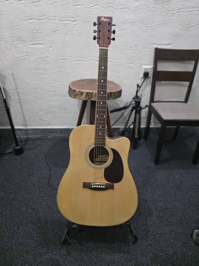 Hofner Acoustic-Electric Guitar with Stand & Bag