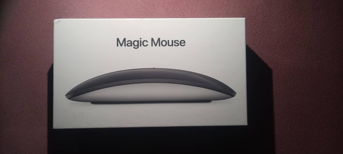 Magic Mouse 2 0