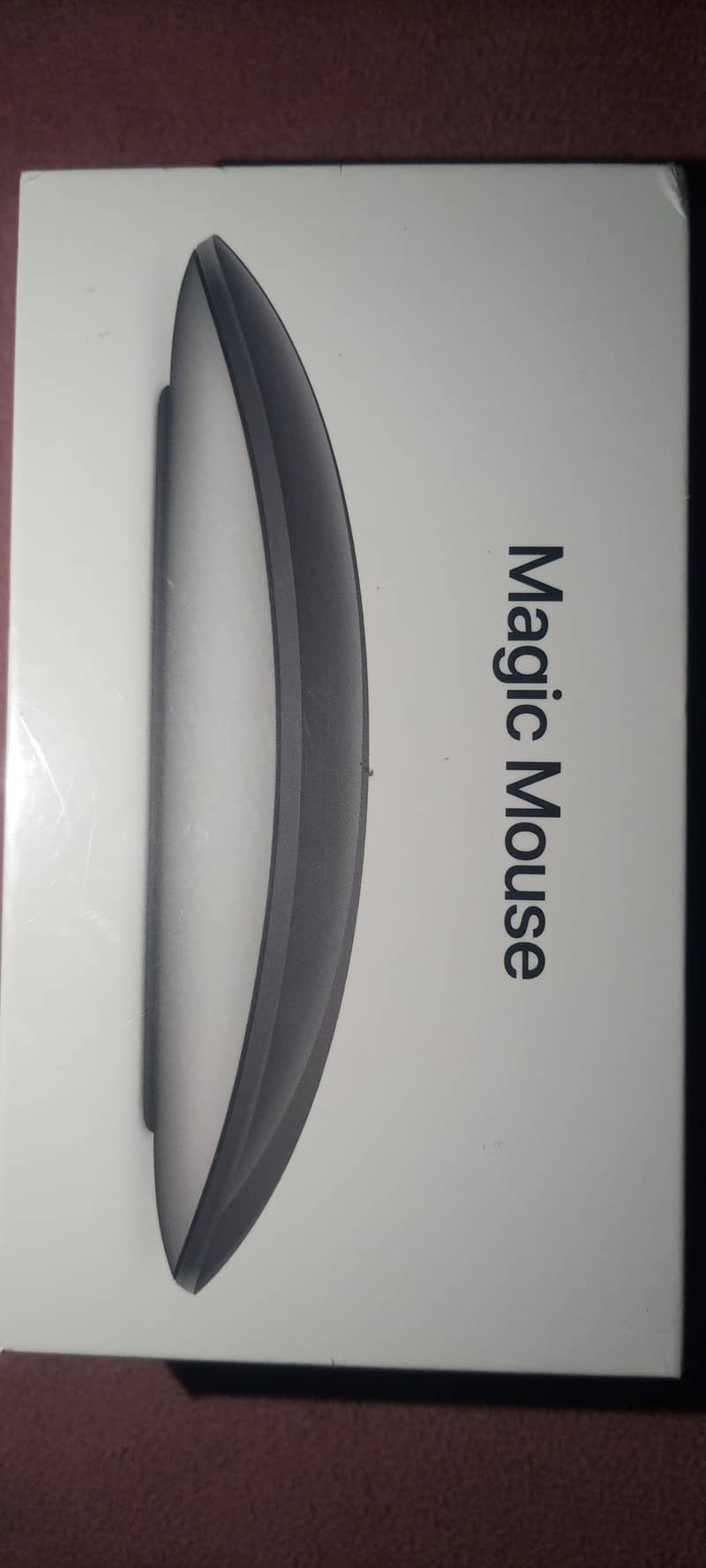 Magic Mouse 2 4