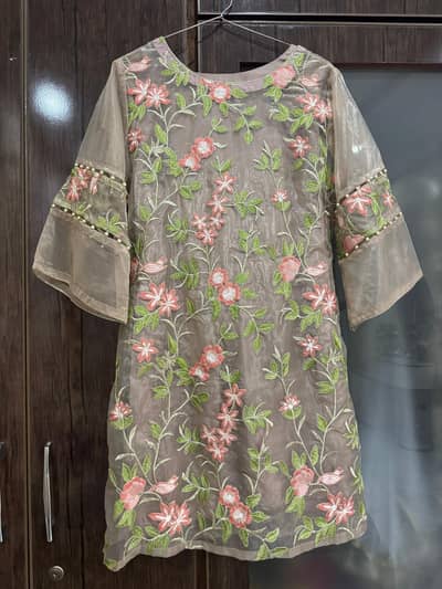 Tissue organza frock