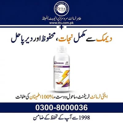 Best Termite Control Chemical in Lahore Pakistan