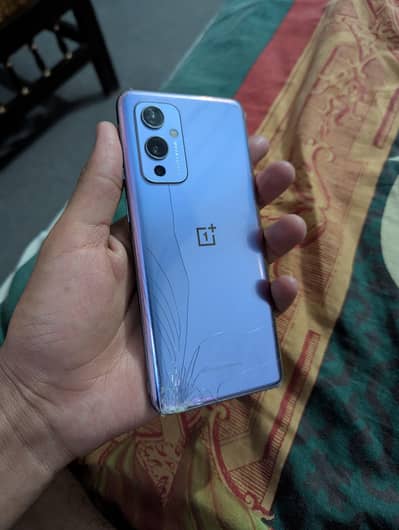 one plus 9 5g variant