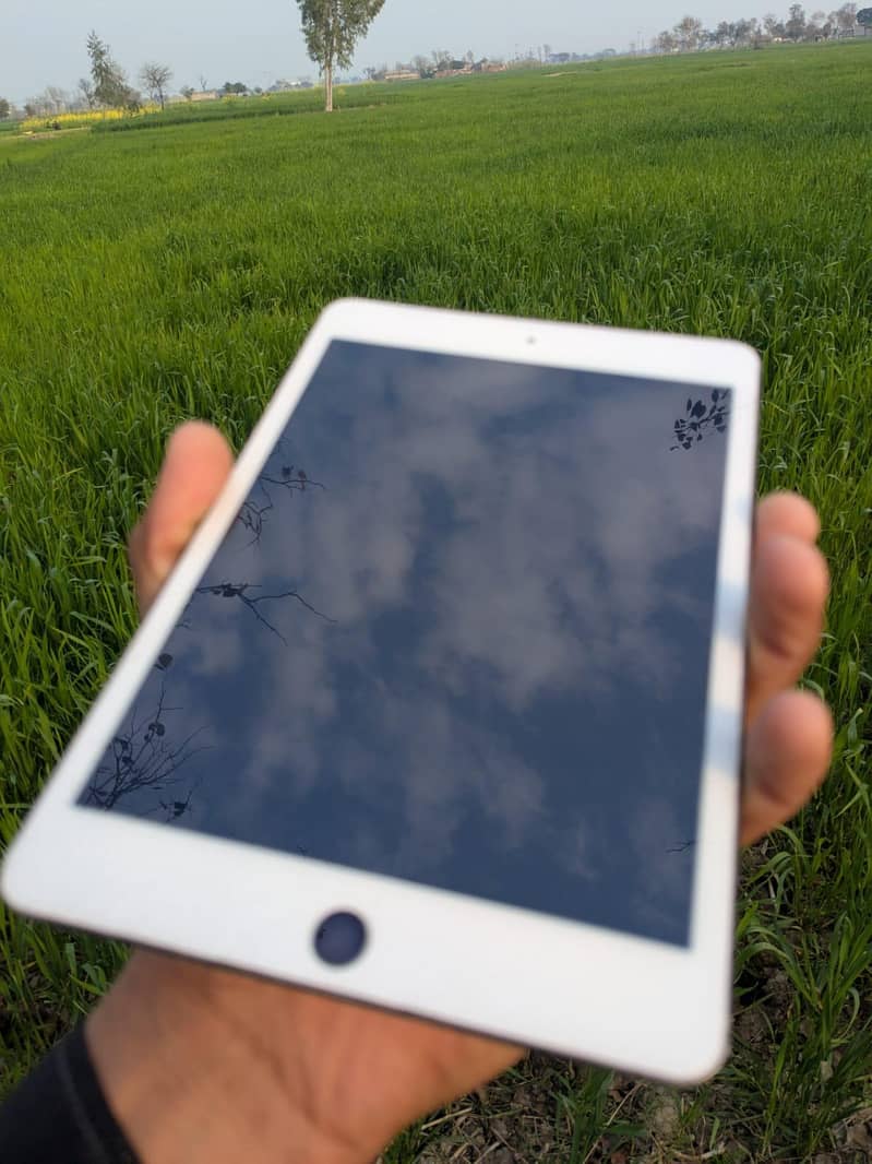 ipad mini 5 6