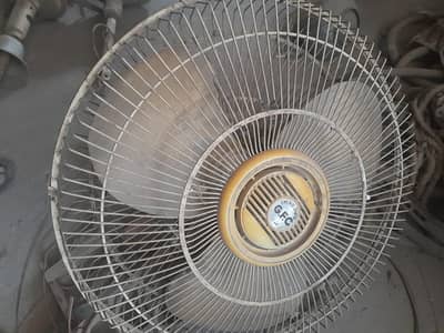 3 fans