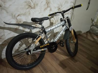 bicycle faty tire / imported bicycle