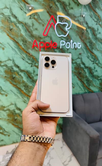 16 pro max pta approved