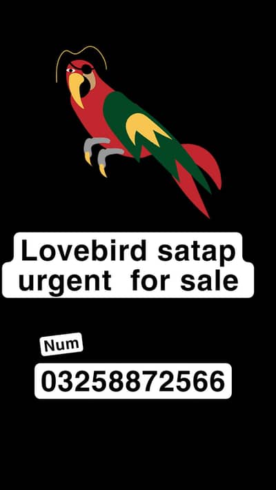 urgent for sale