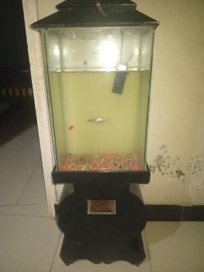 Aquarium with fishes