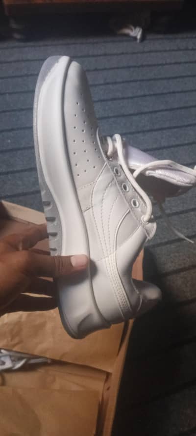 asp new shoes 8 number