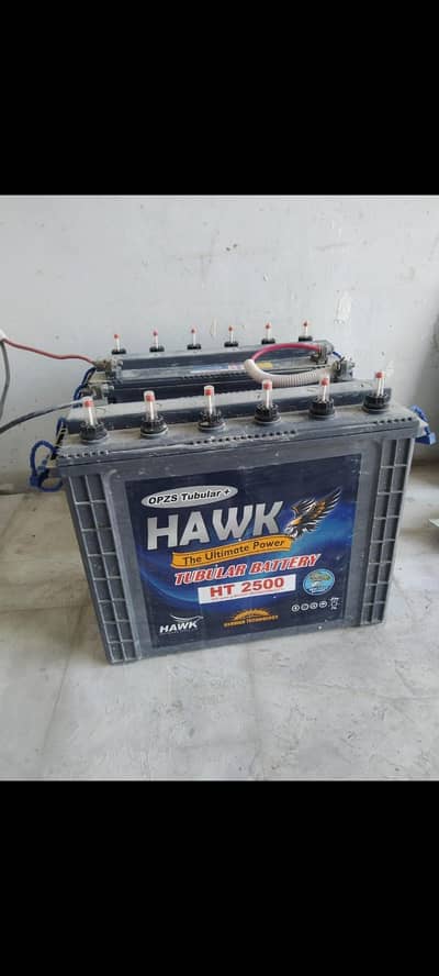 0301,7673926 New Betari for sale in ArifWala