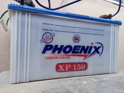 phoenix 19 plate