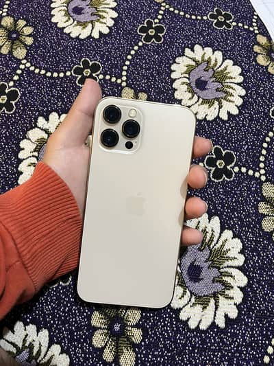 iPhone 12 Pro Max Dual Sim Pta/256 Gb