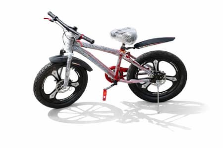 phoenix 20 inch cycal