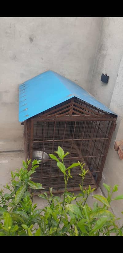 dog cage best strong iron