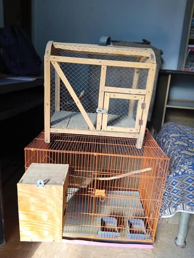 Cage For Parrots And  Chick