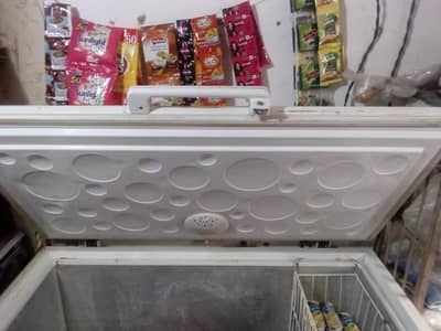 single door Haier d freezer