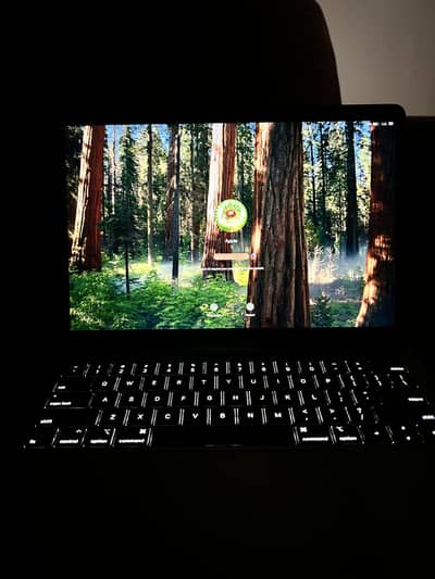 MacBook pro 2018 late -2019 early