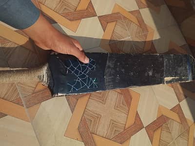 Cricket Bat