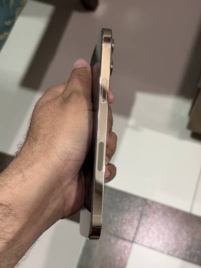 iPhone 12 Pro Max PTA Approved