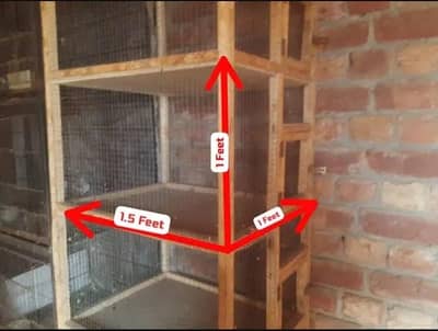 Wooden Cage For Uragent Sale