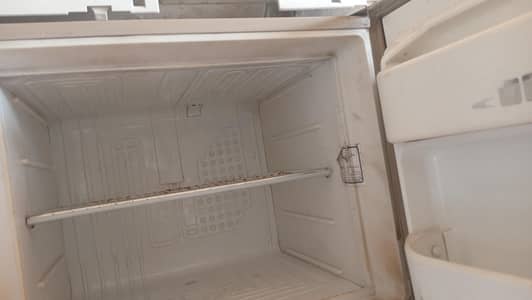 large size fridge