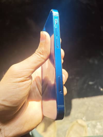 iPhone 12 mini PTA approved