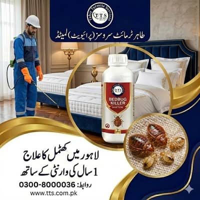 Bed bug Treatment Services in Lahore