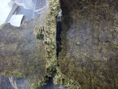 ونڈہ کوالٹی کھل  گارنٹی کے ساتھ دستیاب ہے