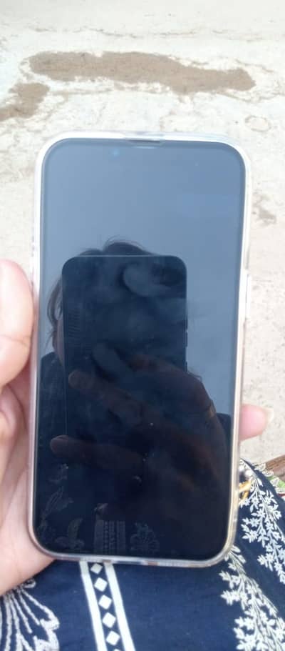 Iphone 13 pro jv 10/10