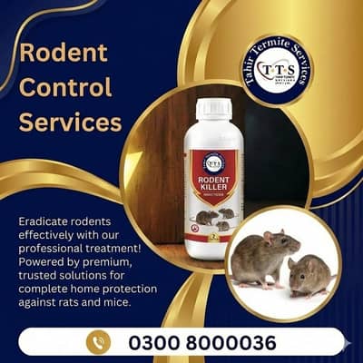 Rodents Control Services in Lahore