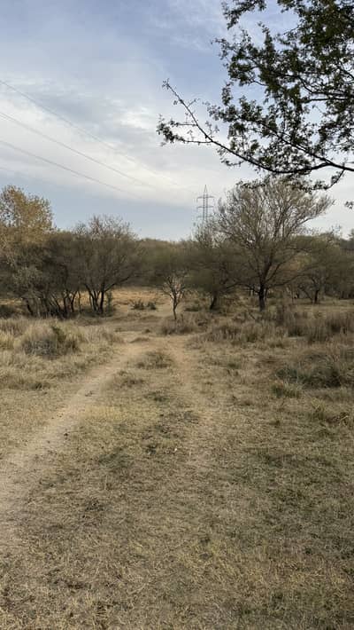 104 Kanal Agricultural Land For Sale In Chakwal