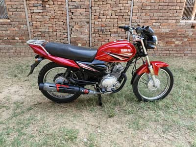 All punjab number bio awalibal document cler