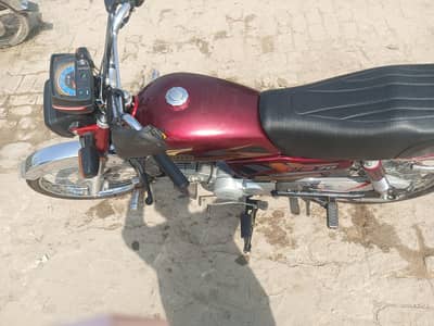 total jenien fast owner