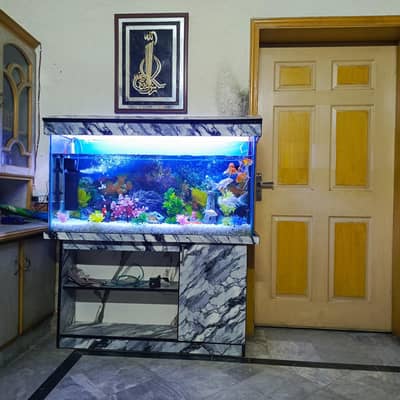 4 Feet Brand New Aquarium with 14 Imported Fish & Food