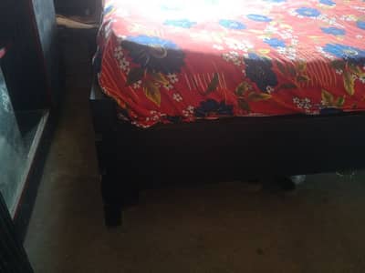 contact No 03123542331