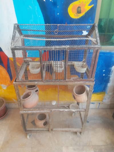 Birds Cage