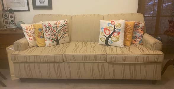 5 seater sofa set with center table