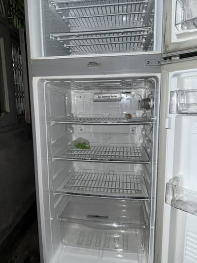 Pel large size frigh