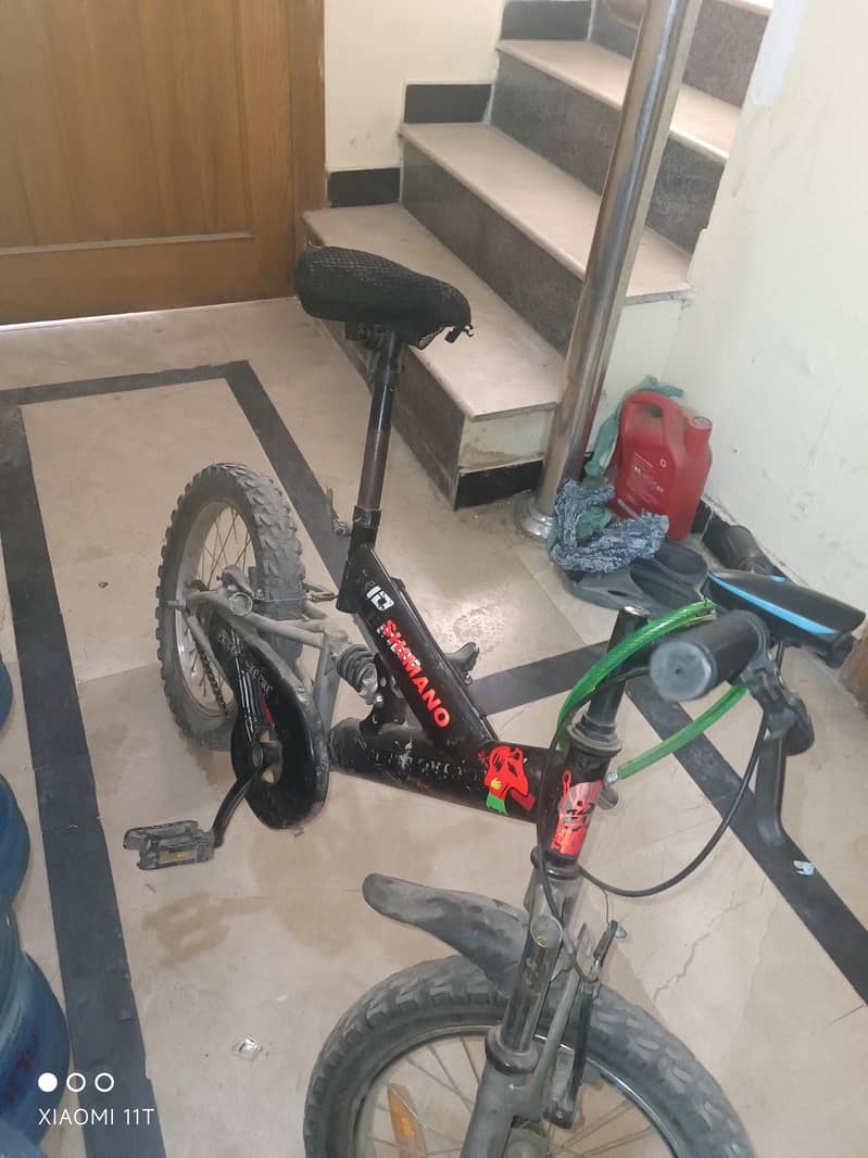 8/10 condition cycle 1