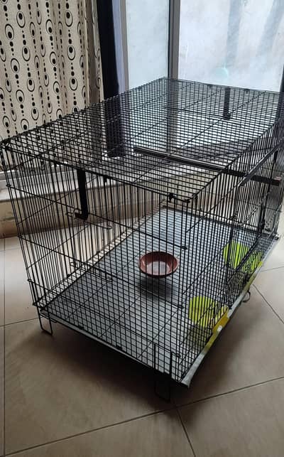 Bird Cage