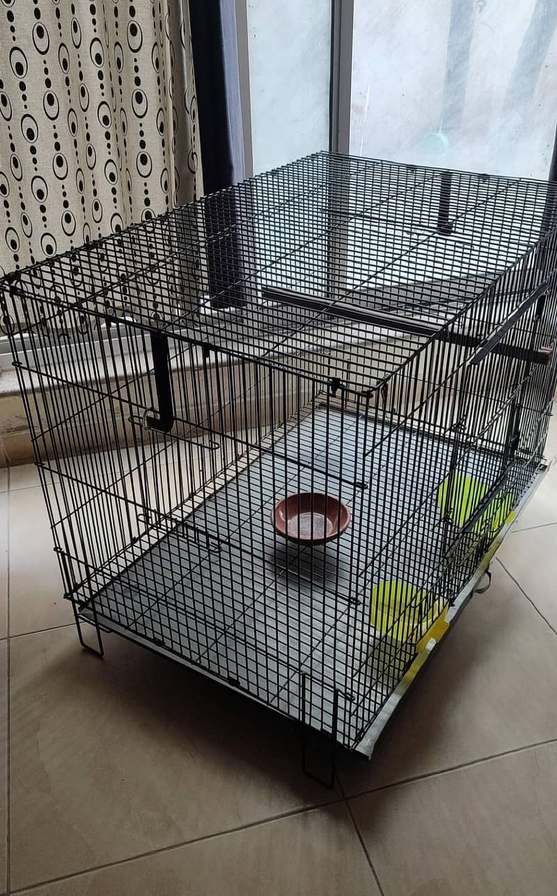 Bird Cage 0