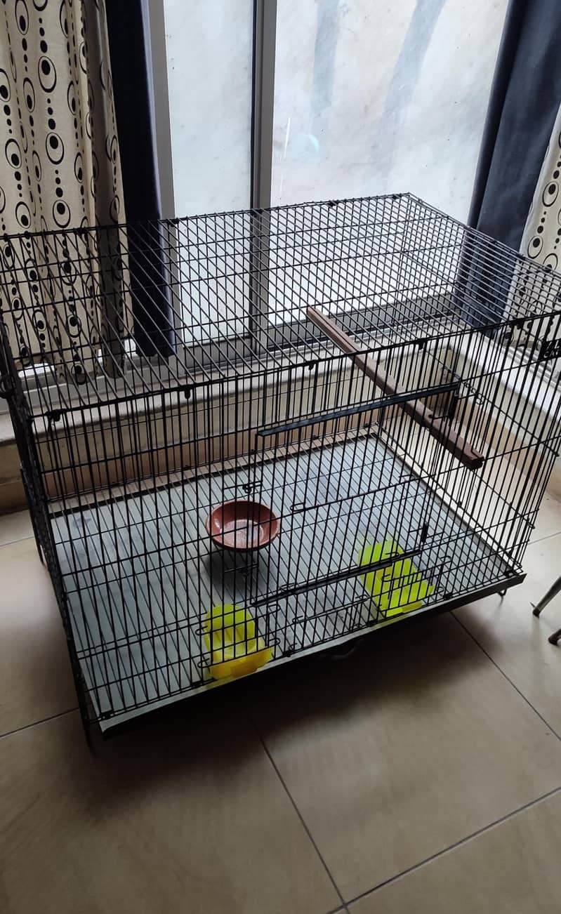 Bird Cage 1