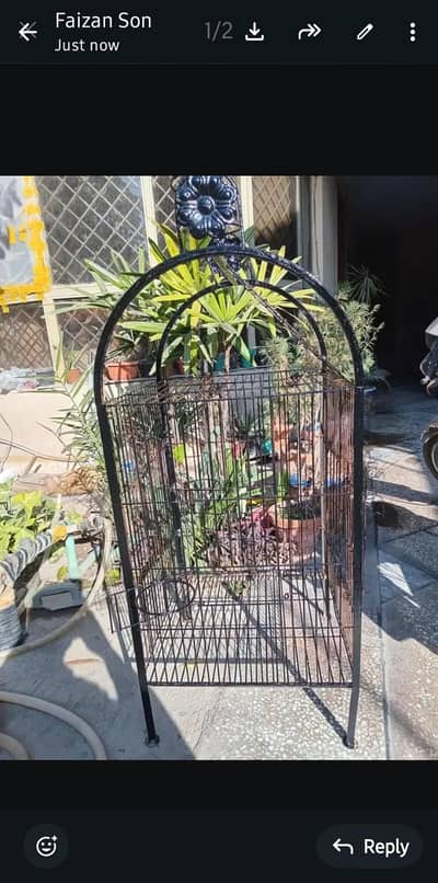 Huge pingra best for paroots pigons and other animals