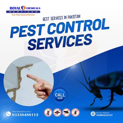 Pest control Termite Expert | Fumigation Services | Termite expert