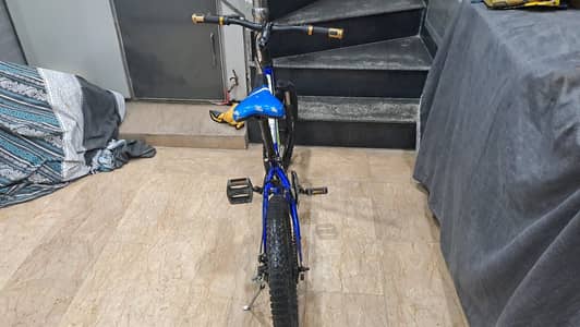 Begood cycle (TB 300)