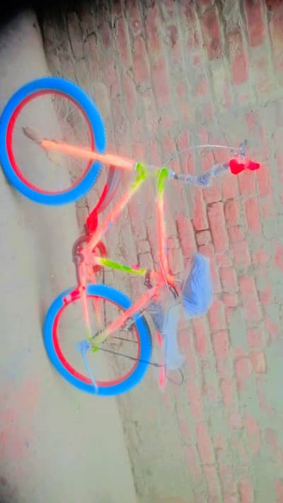 circle brqye ferokht